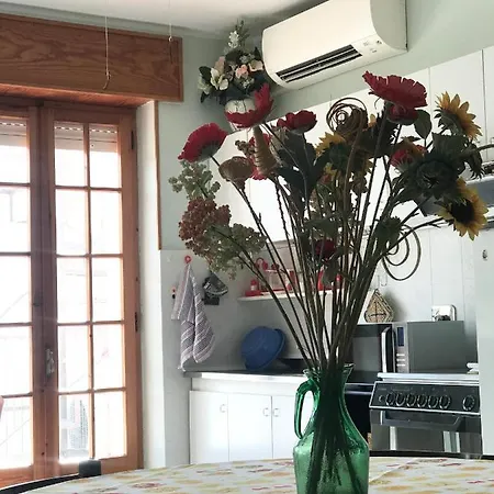 아파트 Casa Tina 카스텔사르도